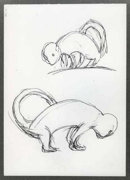 Two Animal Studies