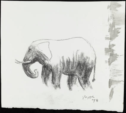 Little Elephant