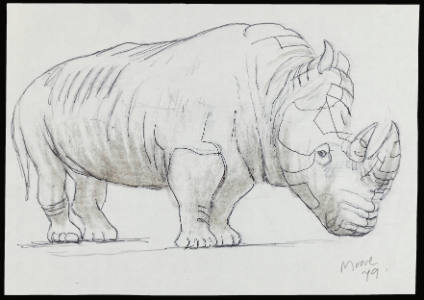 Rhinoceros: Profile to Right