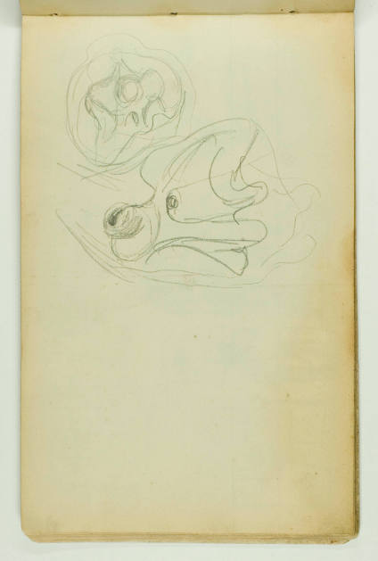 Transformation Drawing