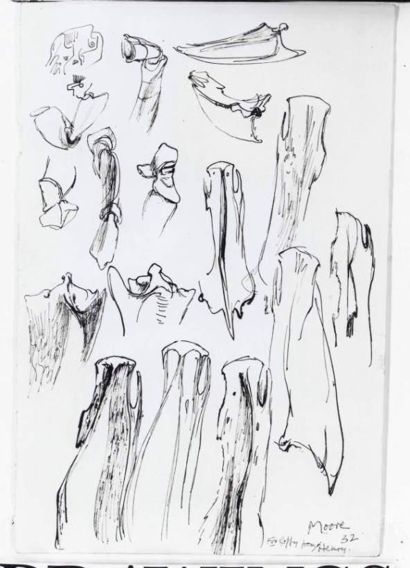 Studies of Bones