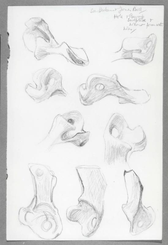 Studies of Bones