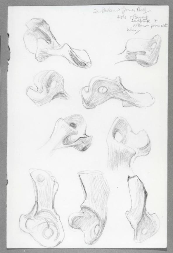 Studies of Bones