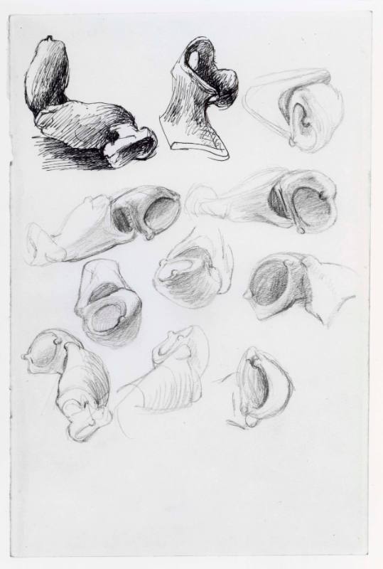 Studies of Lobster Claws