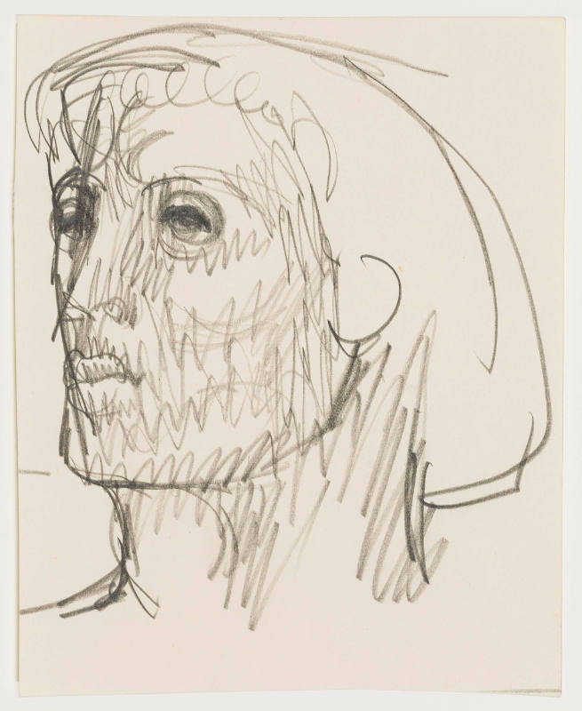 Head