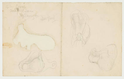 Ideas for Sculpture: Transformation Drawings