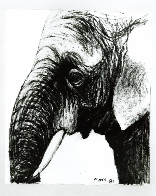 Elephant Head