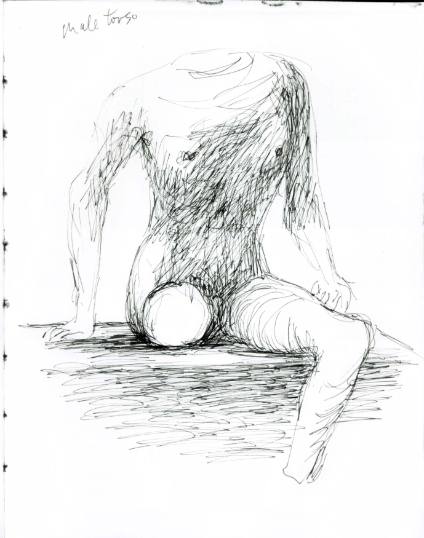 Male Torso