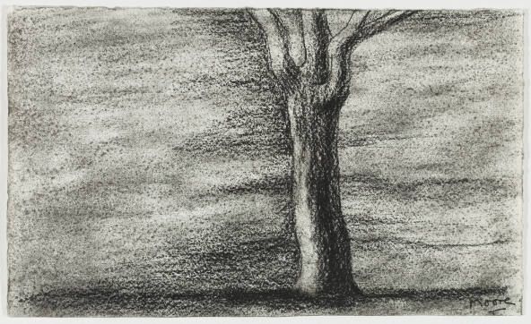 Lone Tree