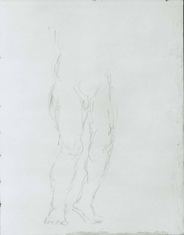 Half-Figure of a Man