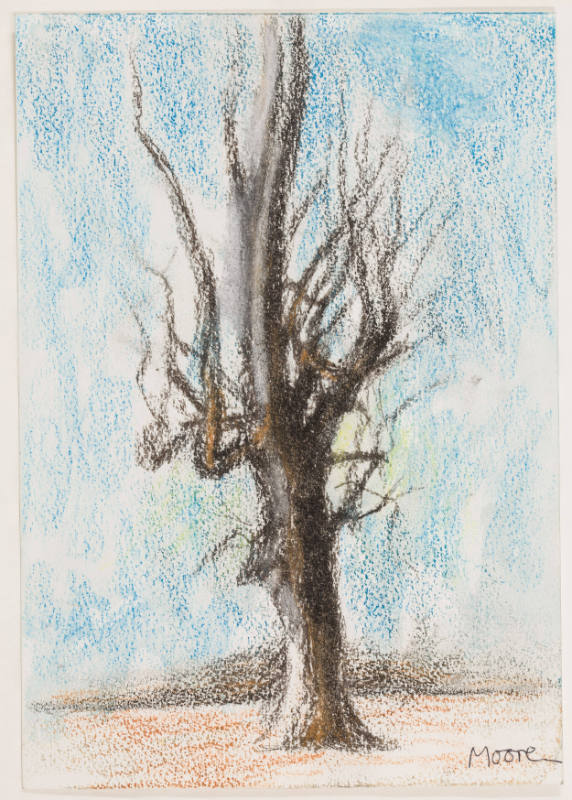 Tree in Winter