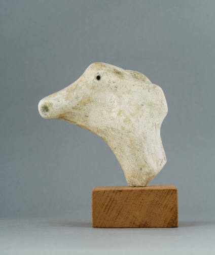 Head of Horse