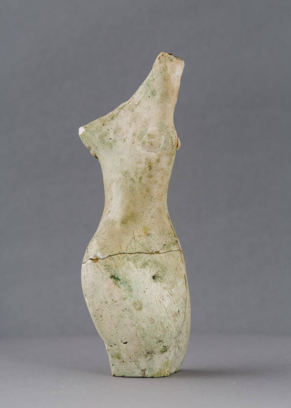 Female Torso