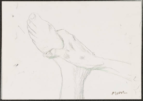 Hand and Foot