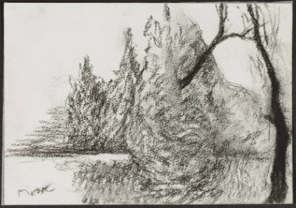 Trees in Landscape