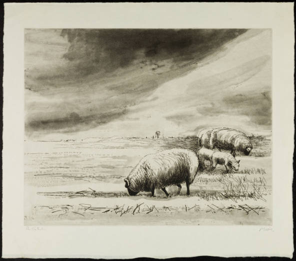 Sheep in Landscape