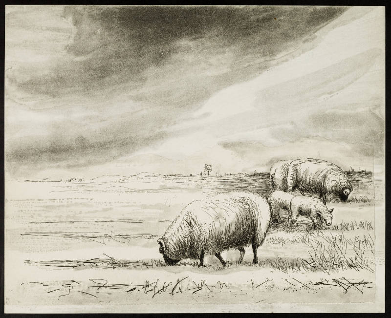 Sheep in Landscape