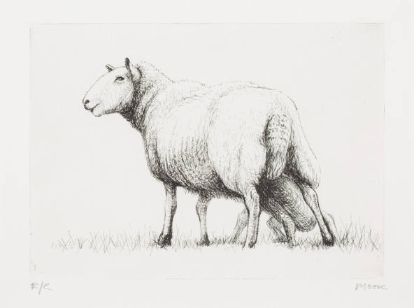 Sheep with Lamb II