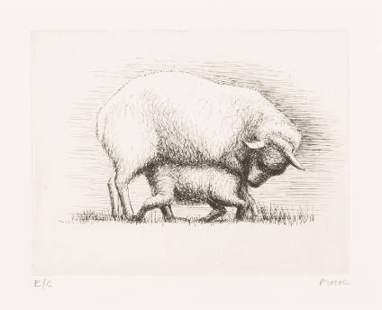 Sheep with Lamb IV