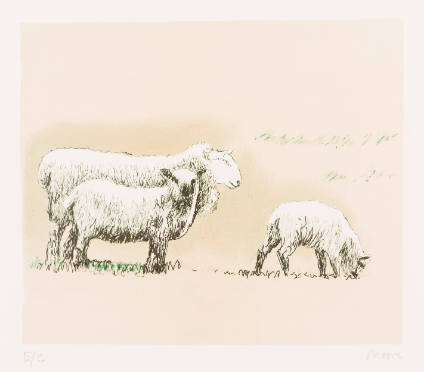 Sheep in Landscape