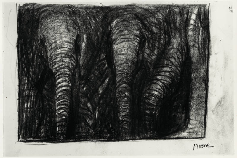 Elephants in the Forest