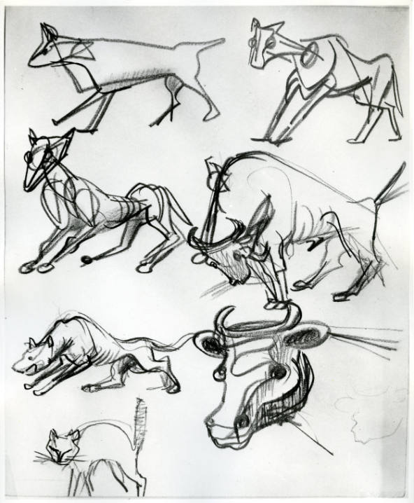 Animal Studies