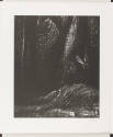 <i>Auden Poems, Moore Lithographs</i>, Edition A