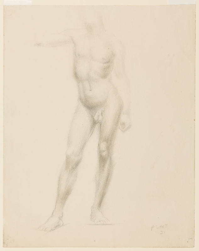 Standing Male Nude