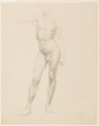 Standing Male Nude