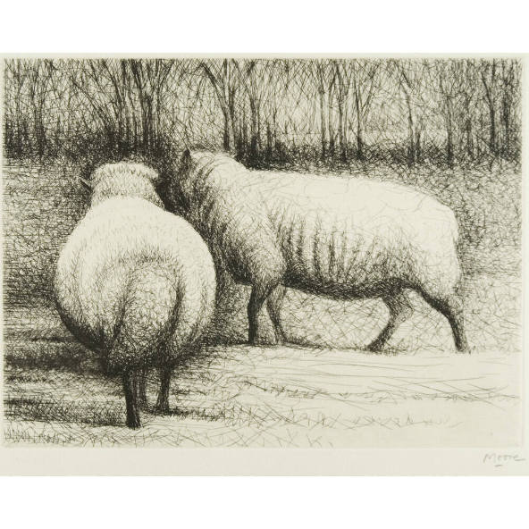 Sheep