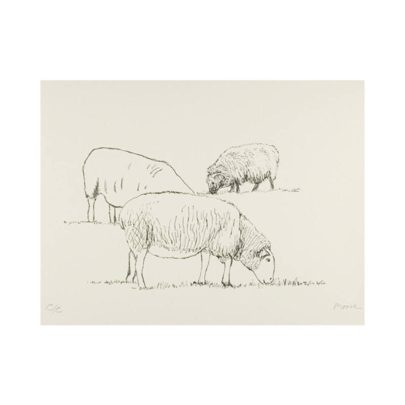 Three Grazing Sheep