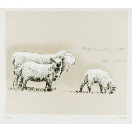 Sheep in Landscape