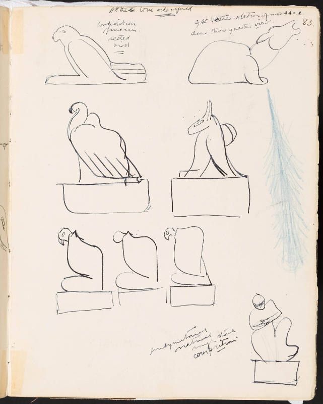 Studies of Birds and Animals