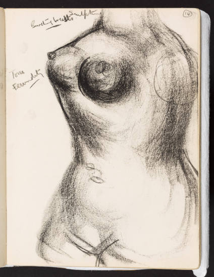 Study of a Torso