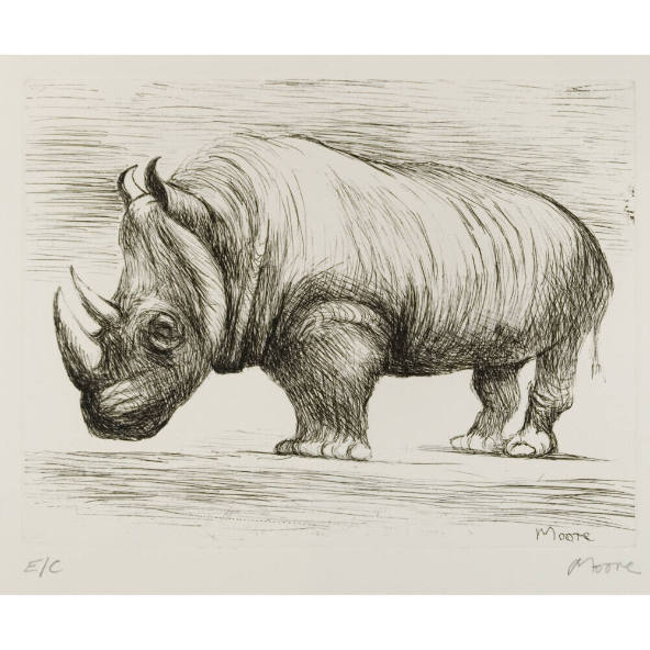 Rhinoceros