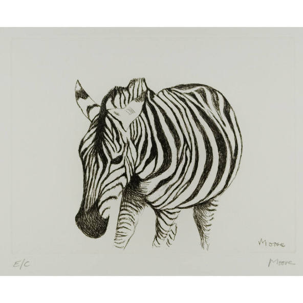 Zebra