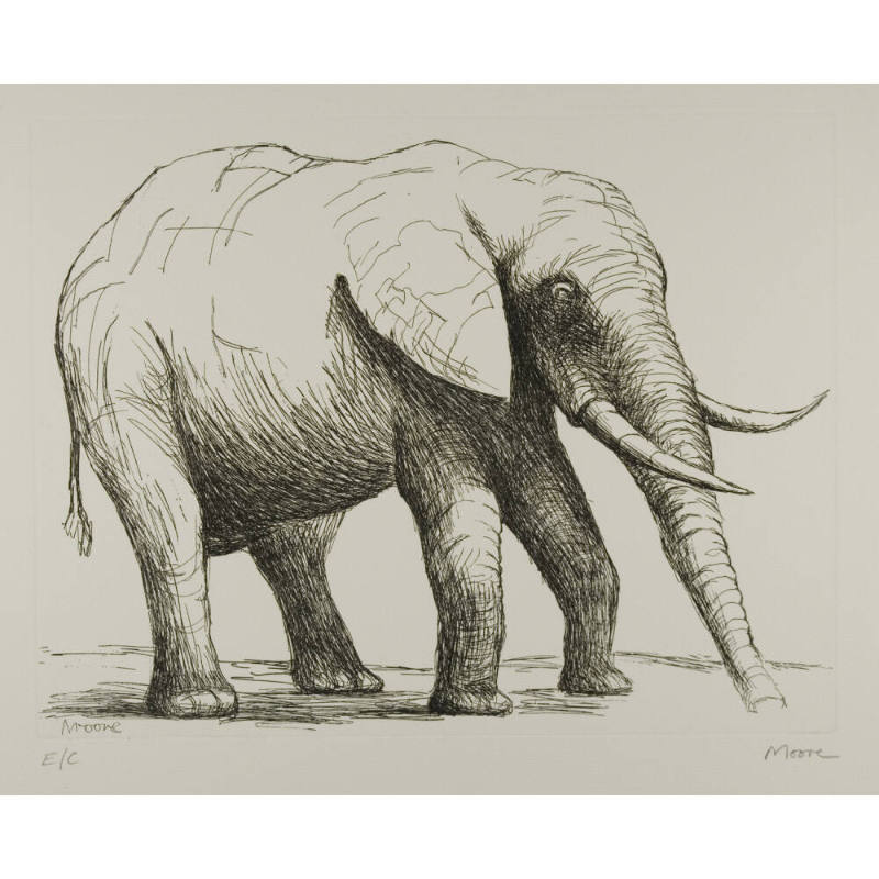 Elephant