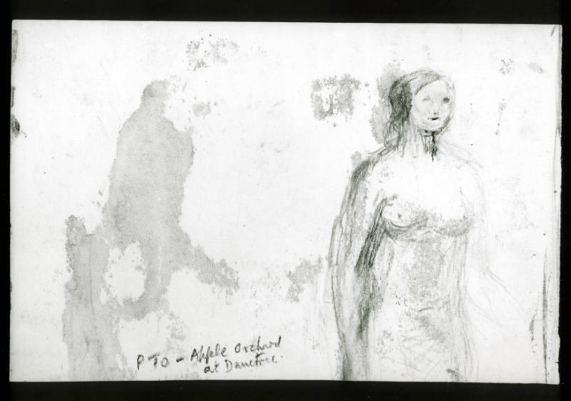 Standing Female Nude