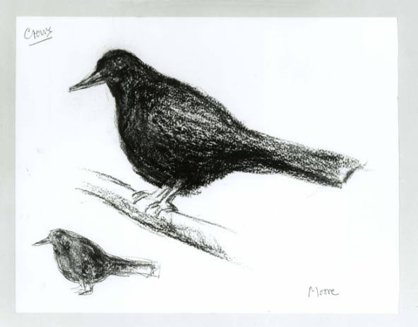 Two Crows