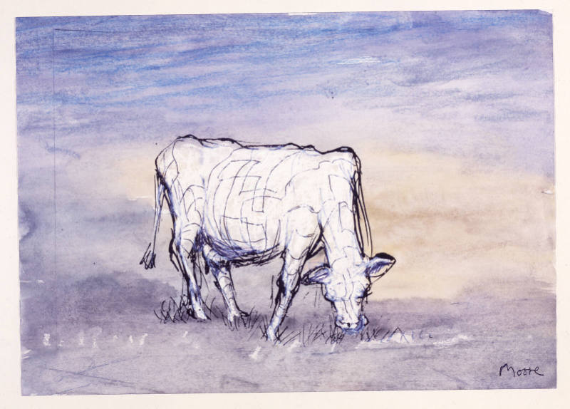 The Cow