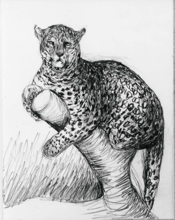 Leopard