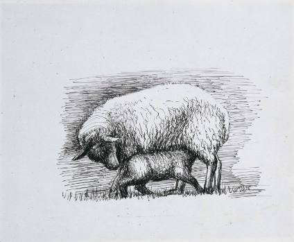 Sheep with Lamb IV