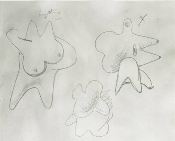 Torso Studies