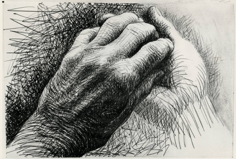 The Artist's Hands