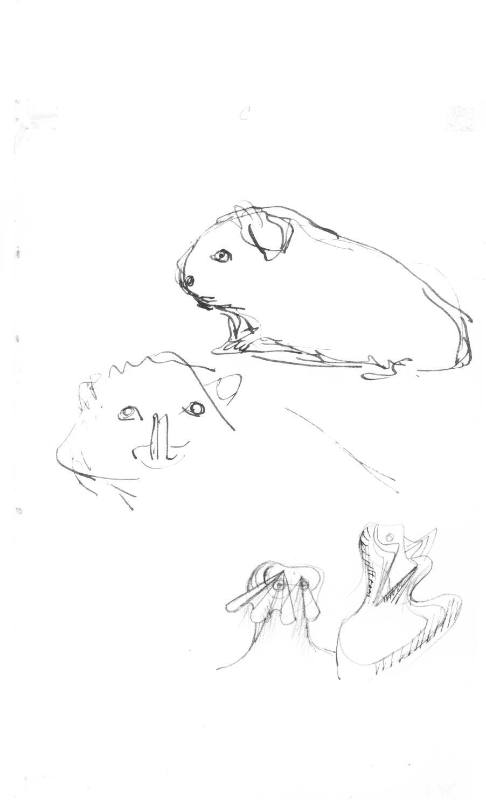 Animal Drawings and Two Heads