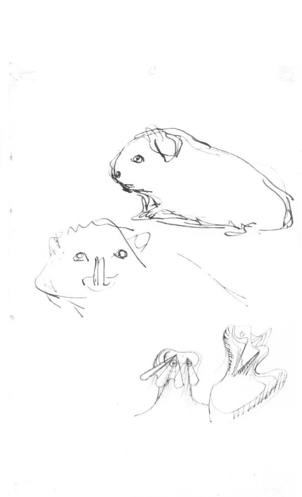 Animal Drawings and Two Heads