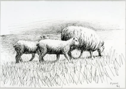 Sheep and Two Lambs