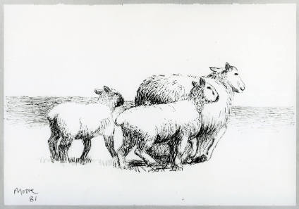 Sheep and Two Lambs