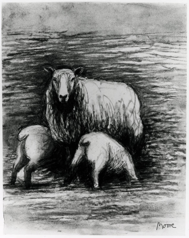 Sheep with Lambs