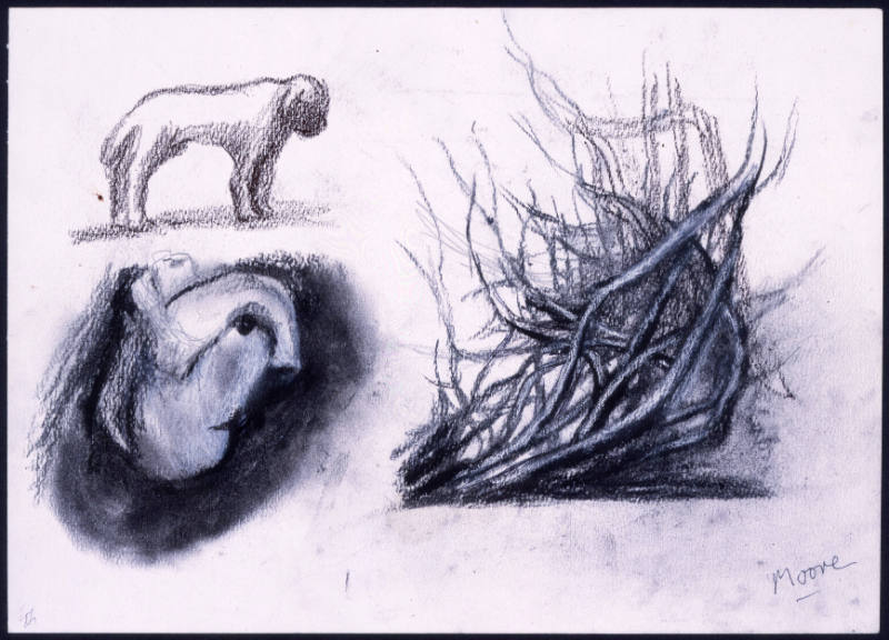 Three Studies: Tree, Animal, Head